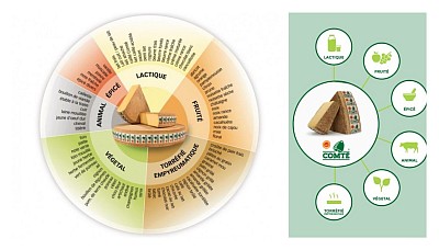 Riue des aromes du comté